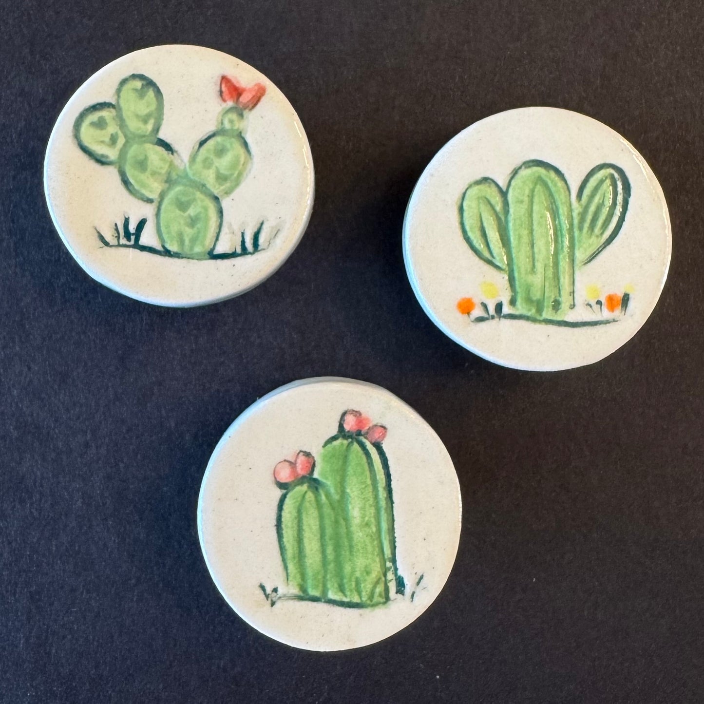 Cactus and Wildflower Magnets