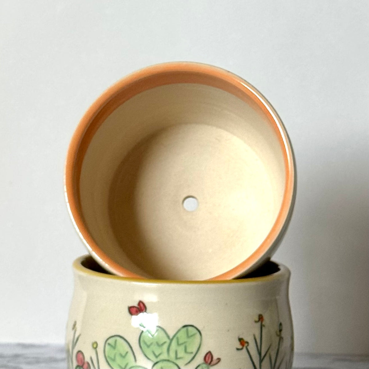 Cactus Plant Pot, Orange