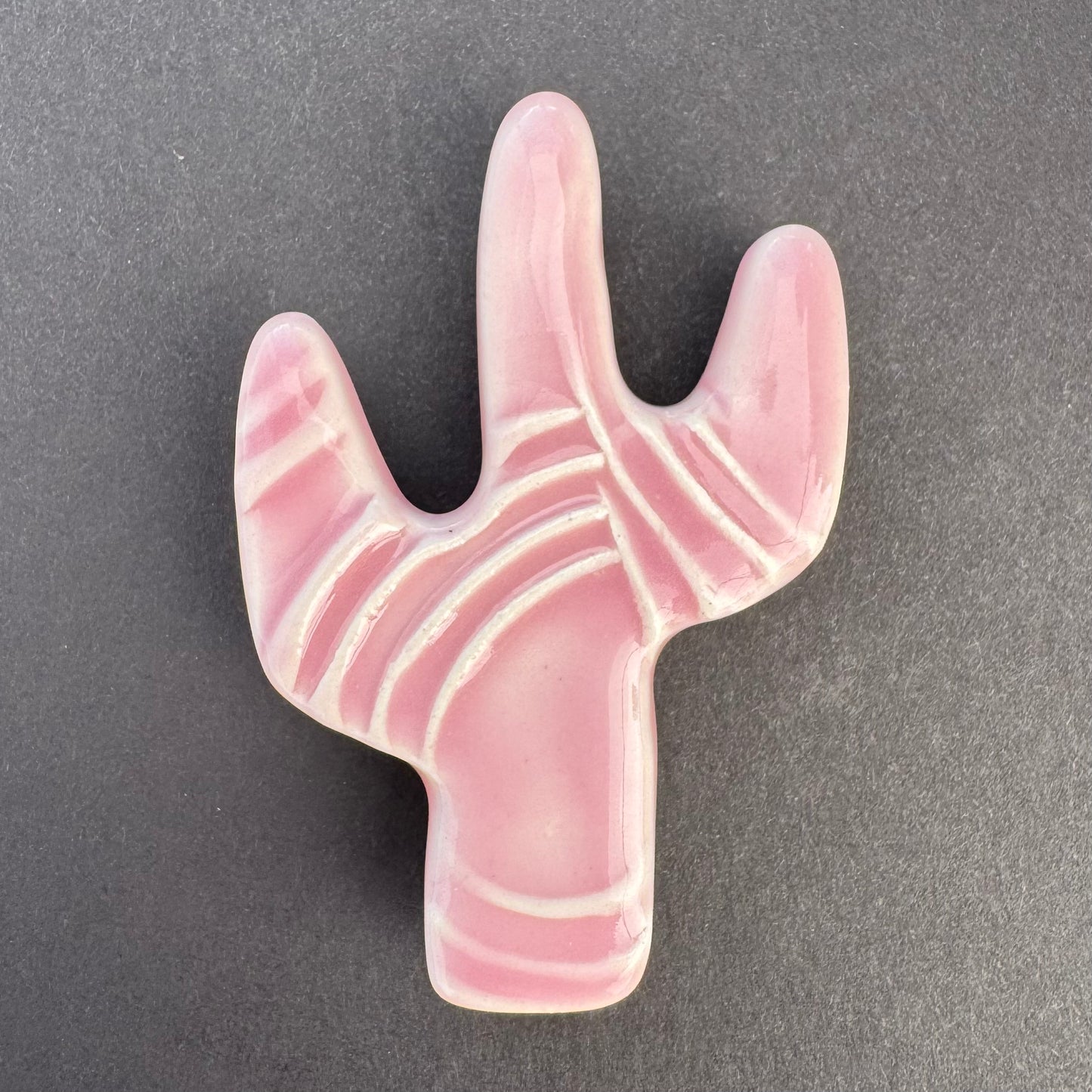 Cactus and Wildflower Magnets