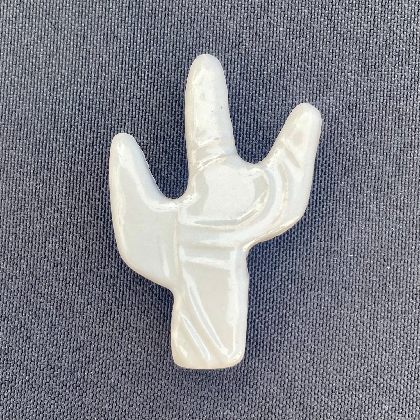 Cactus and Wildflower Magnets