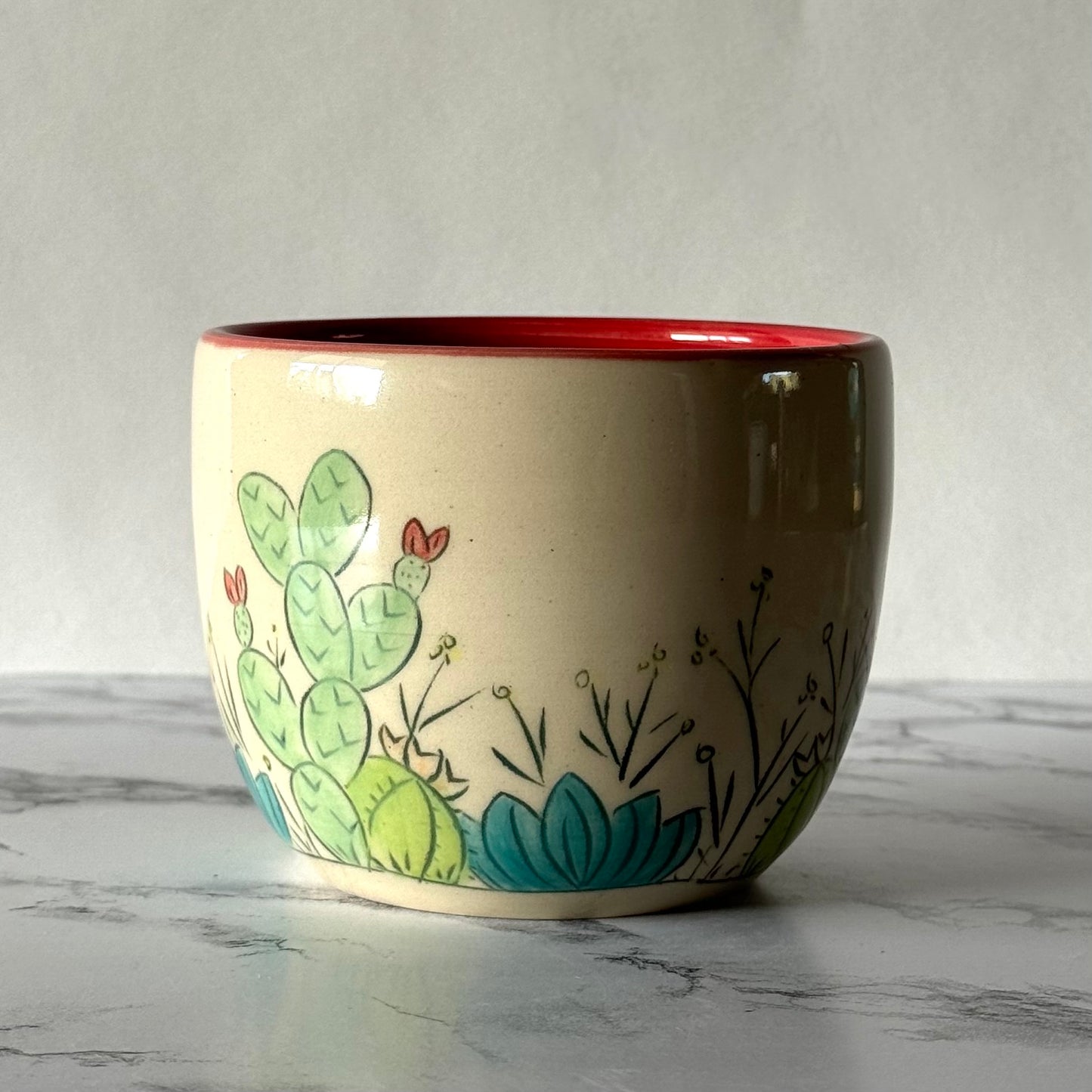 Cactus Plant Pot, Red