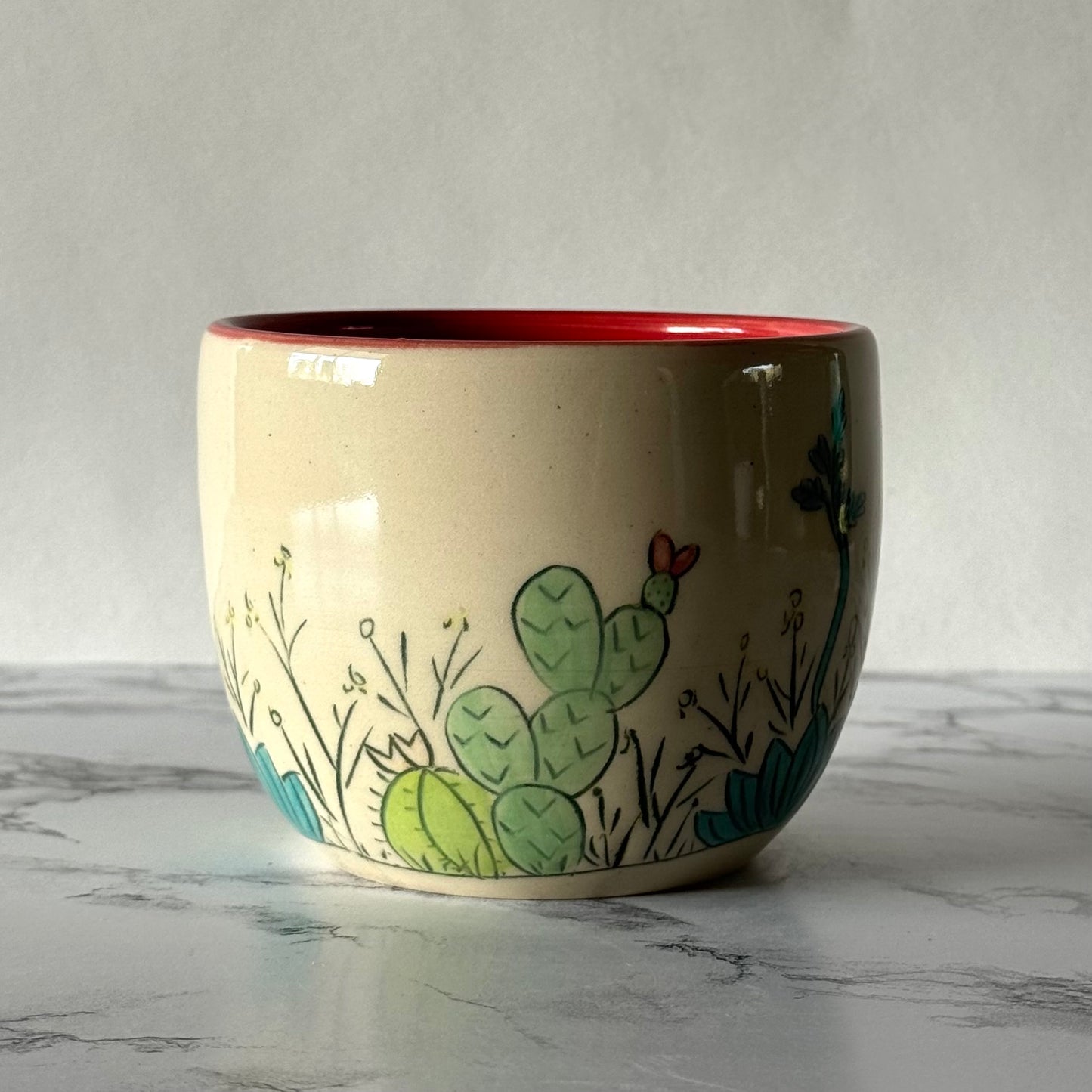 Cactus Plant Pot, Red