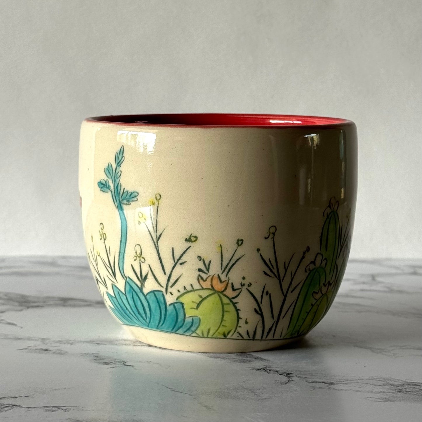 Cactus Plant Pot, Red