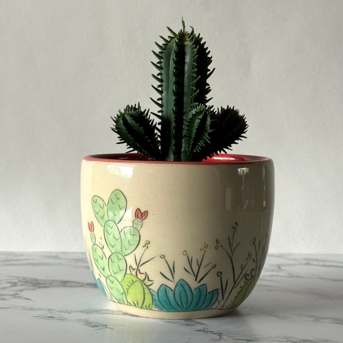 Cactus Plant Pot, Red