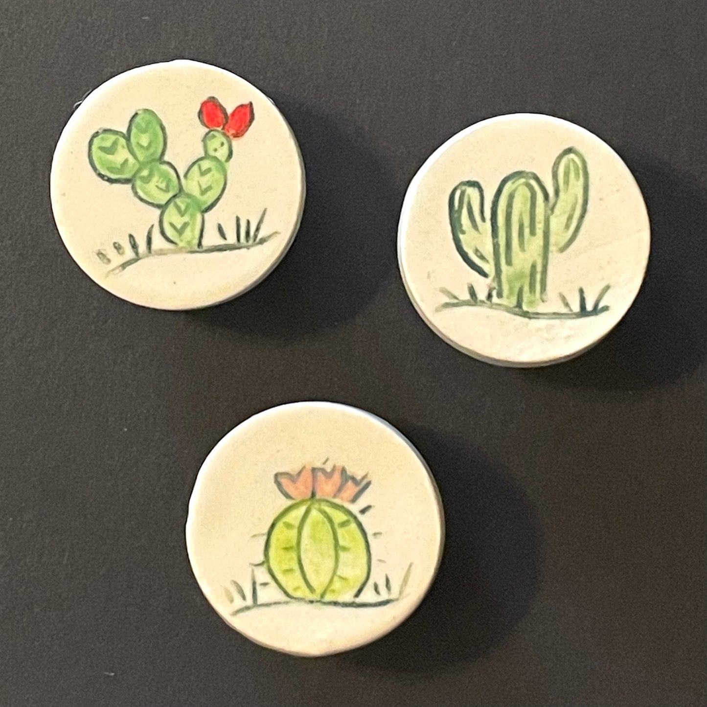 Cactus and Wildflower Magnets