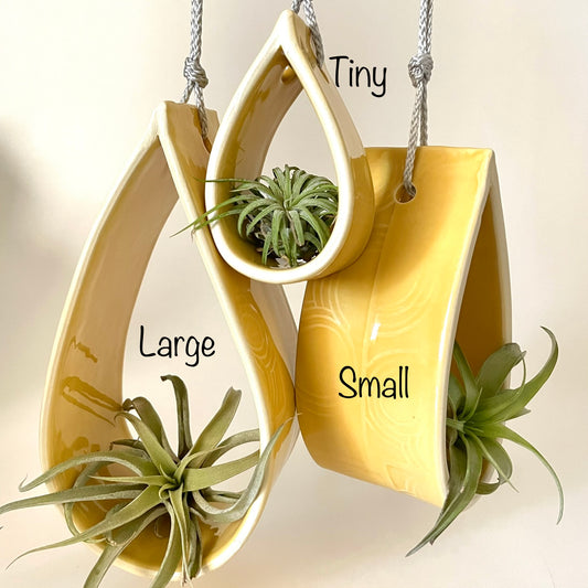 Hanging Air Plant Holder ~ Large