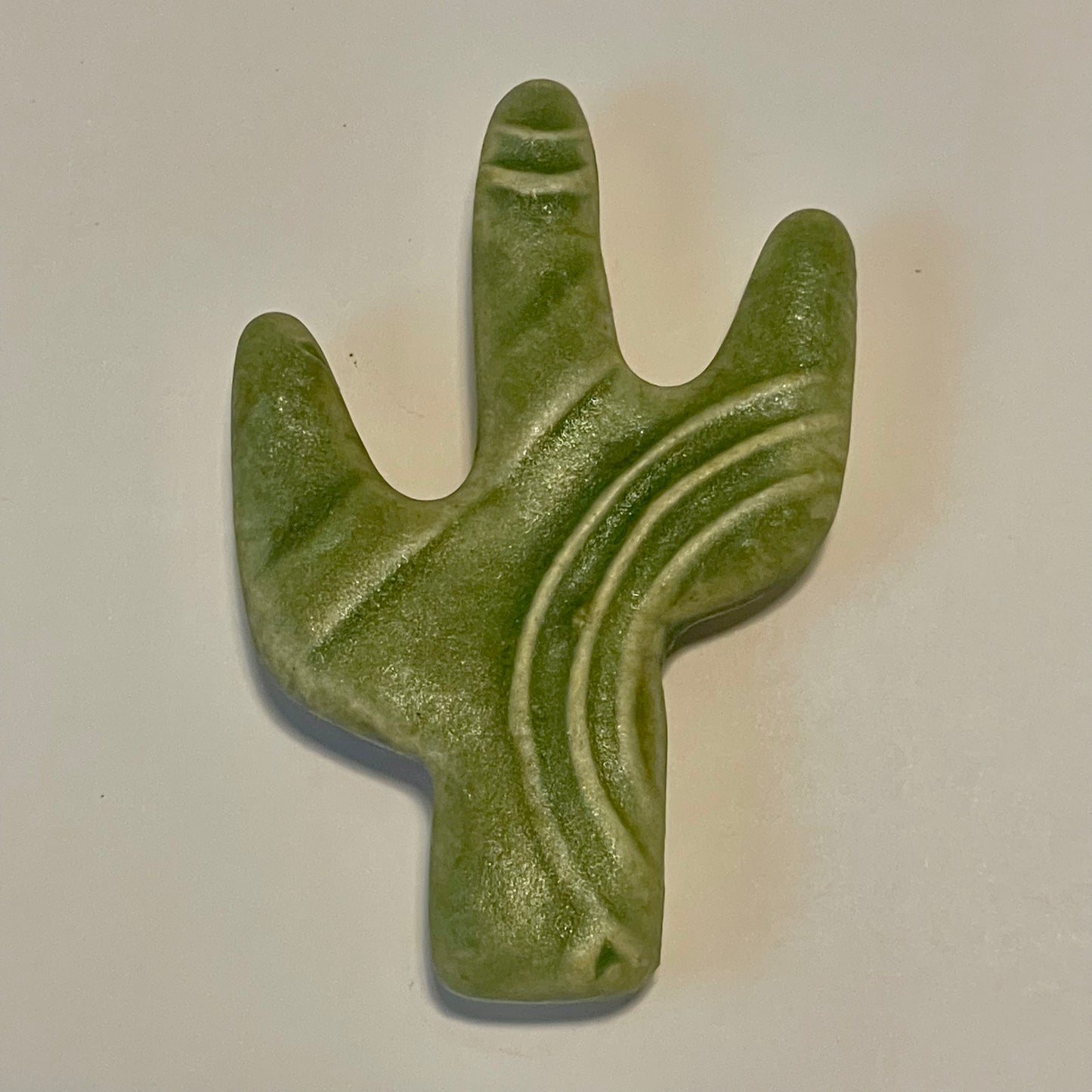 Cactus and Wildflower Magnets