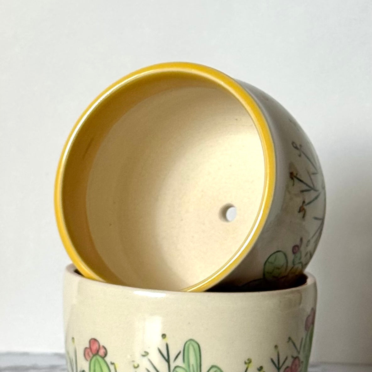 Cactus Plant Pot, Yellow