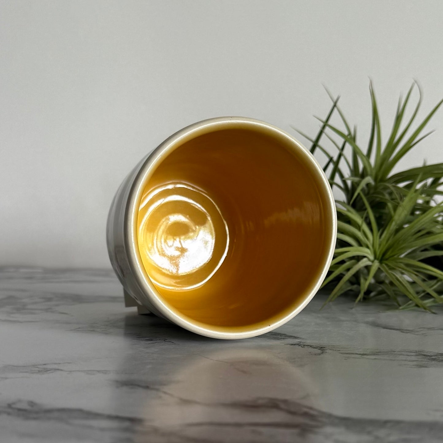 Cactus Cup, Small Yellow