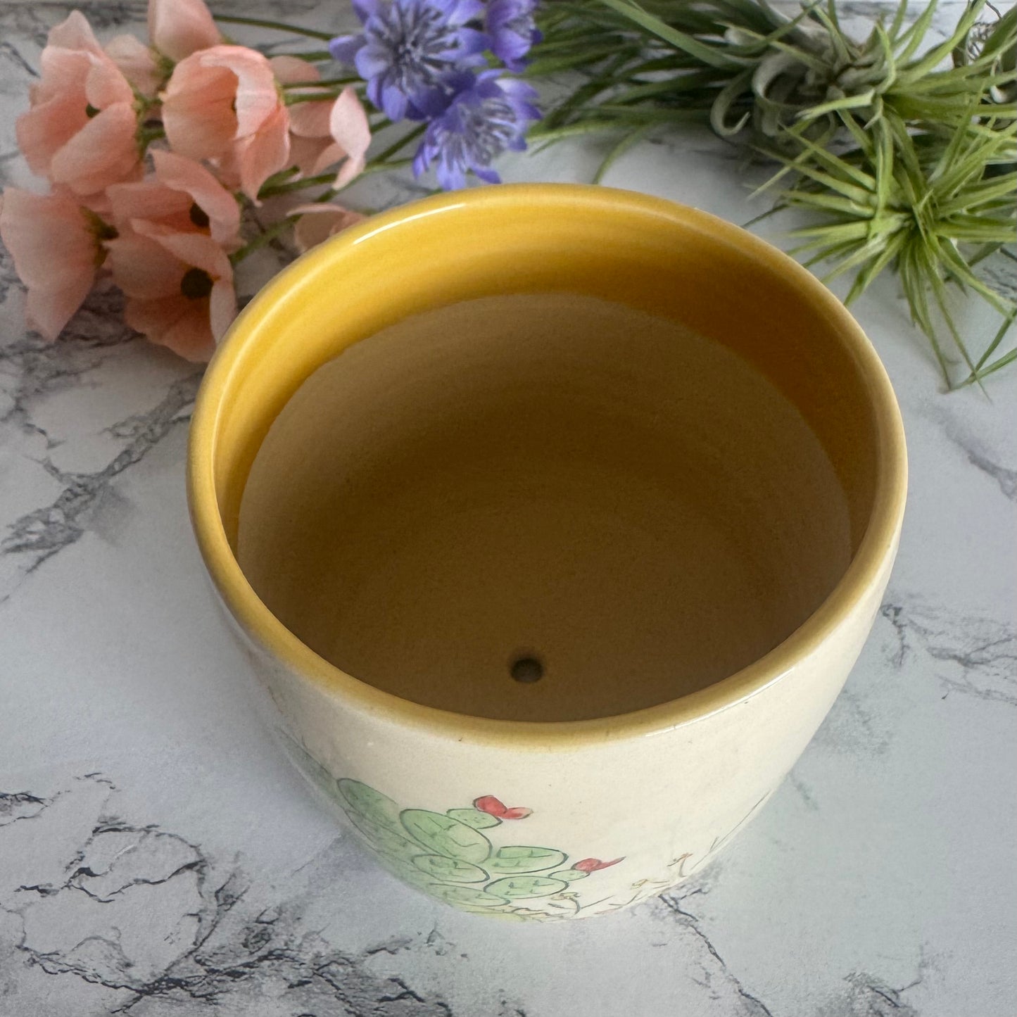 Cactus Plant Pot, Yellow