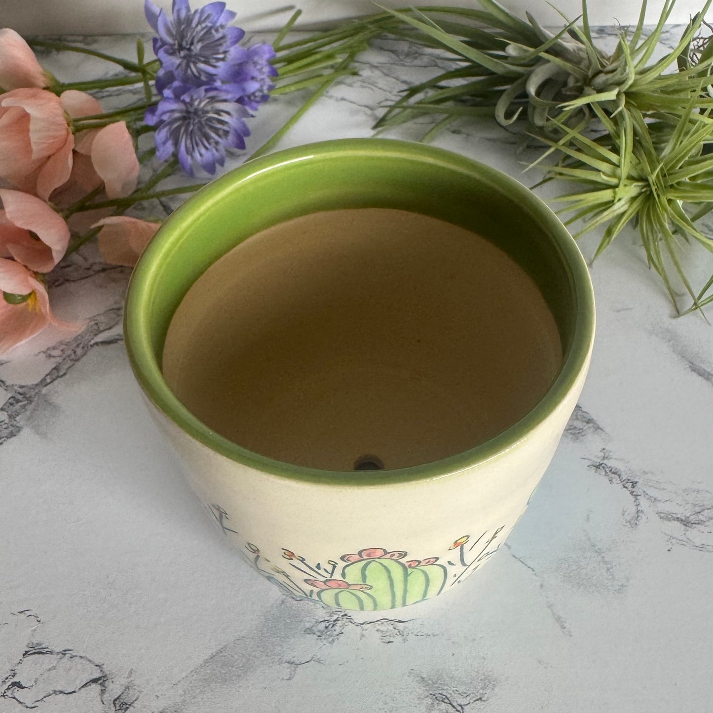 Cactus Plant Pot, Green