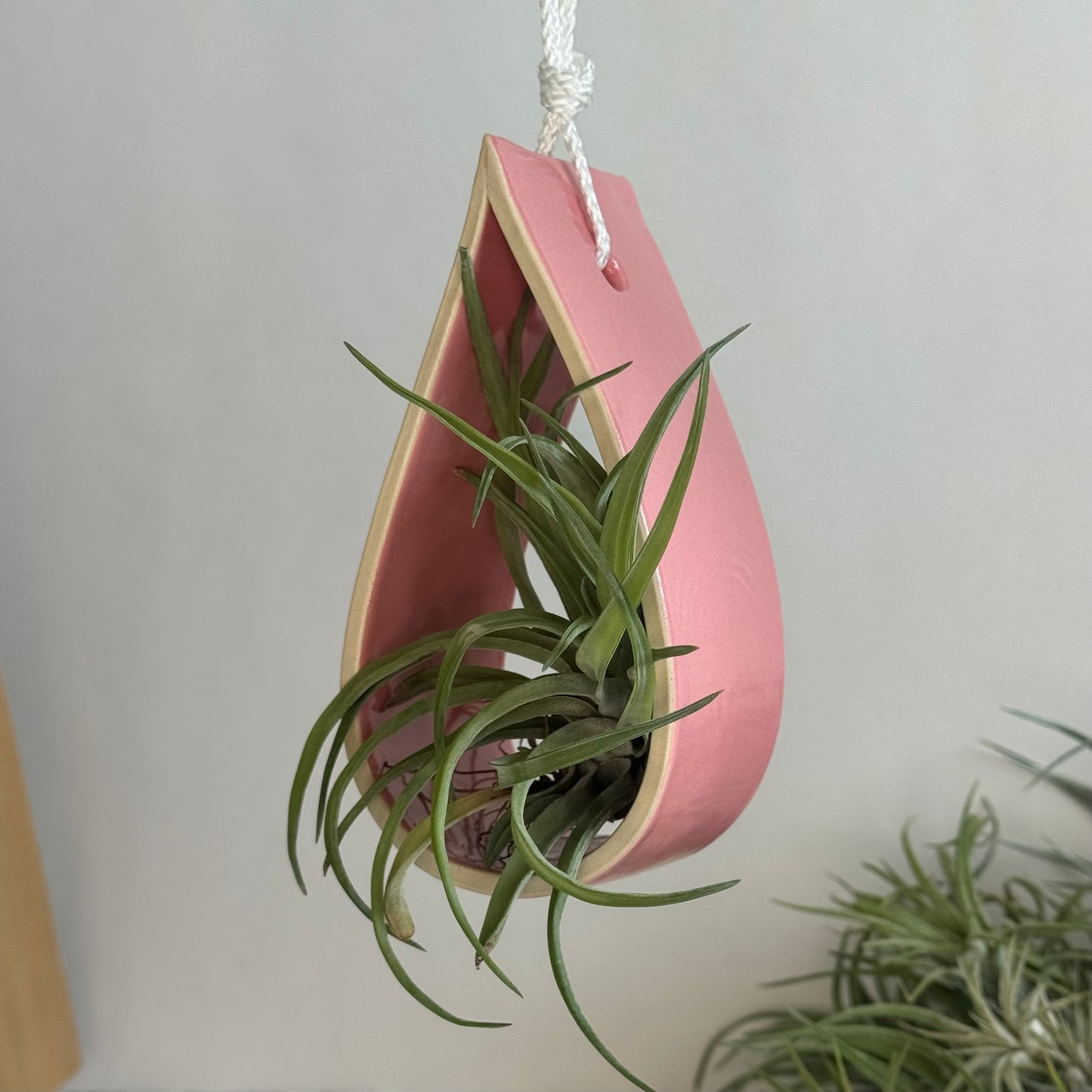 Hanging Air Plant Holder ~ Large