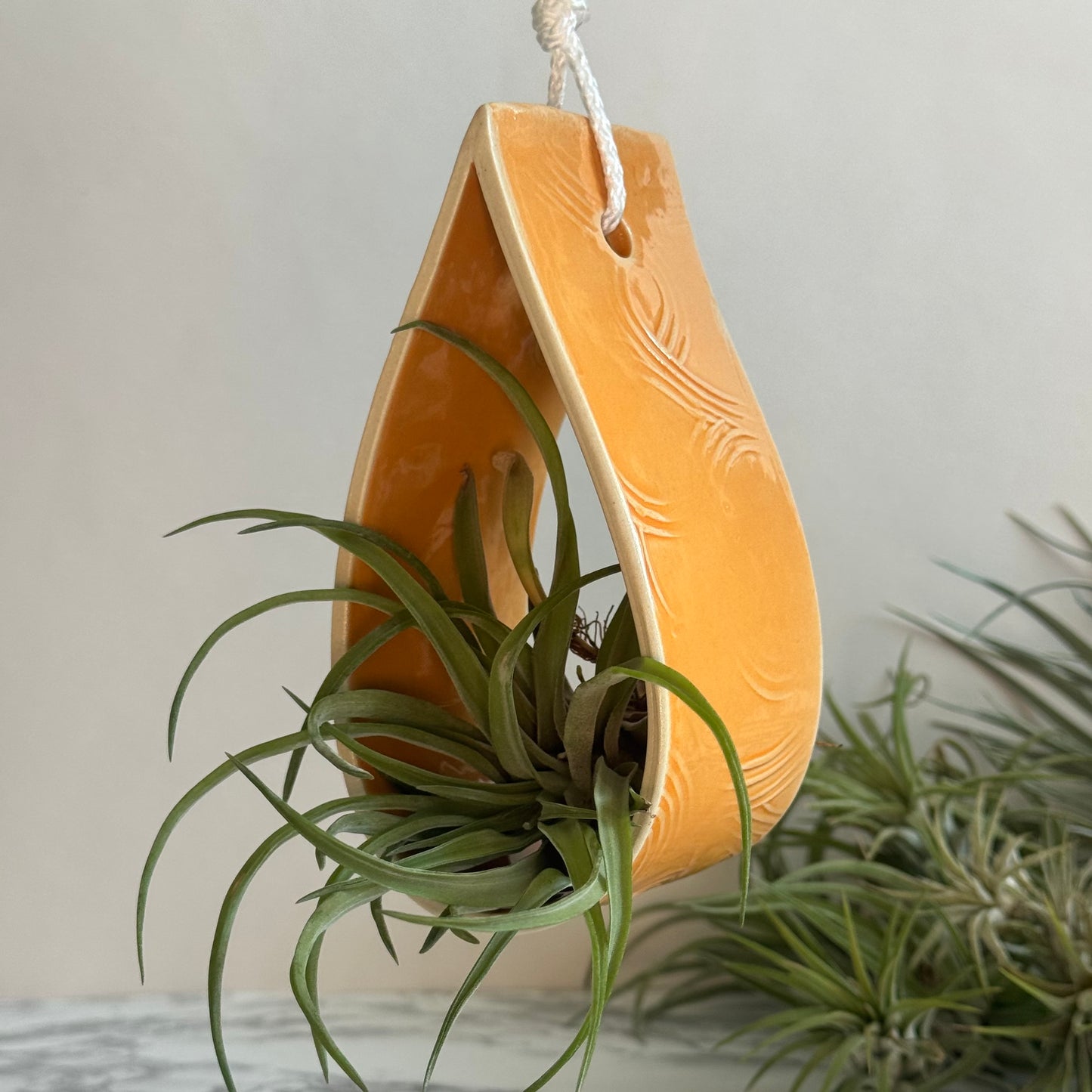 Made to Order ~ Hanging Plant Holder, Small