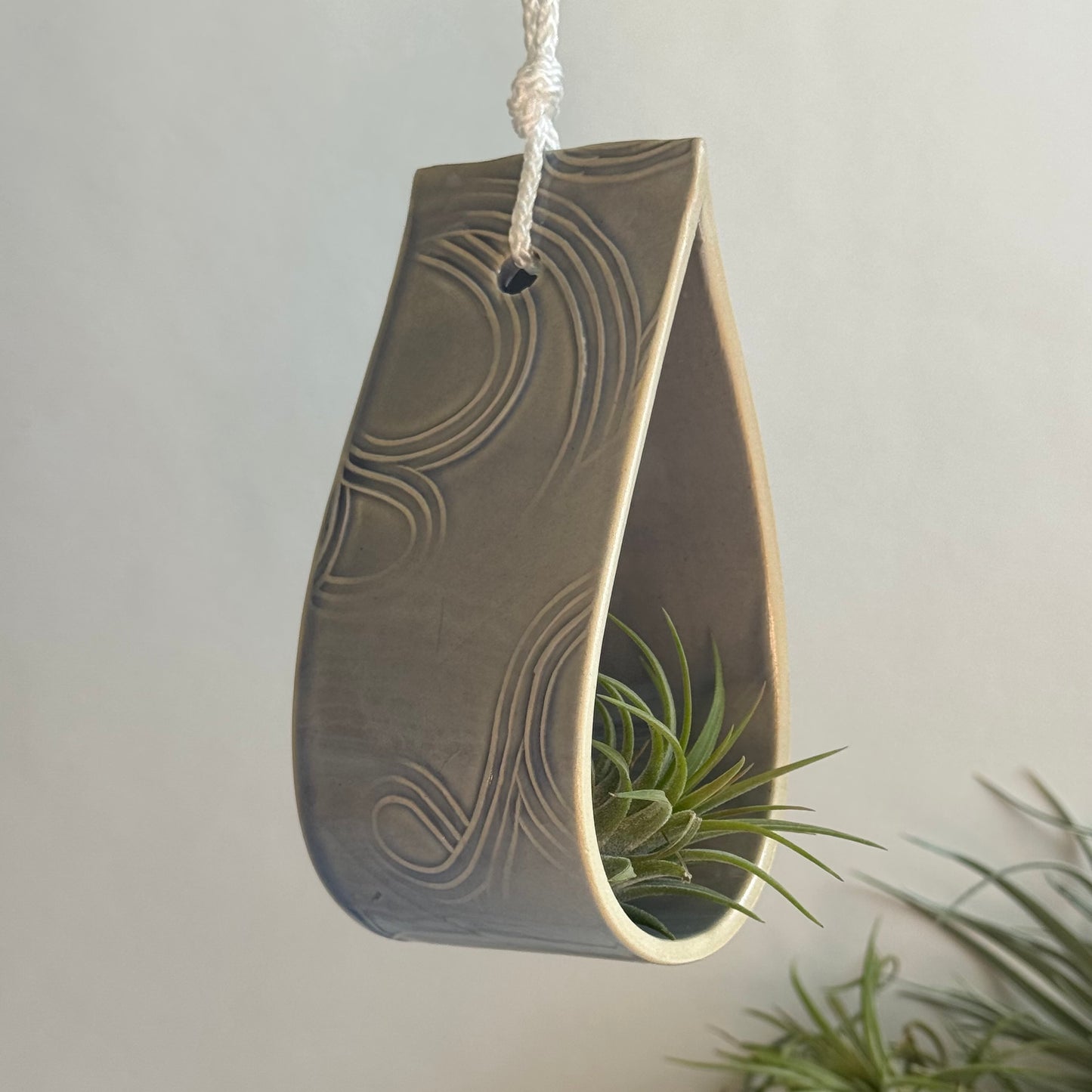 Hanging Air Plant Holder ~ Large