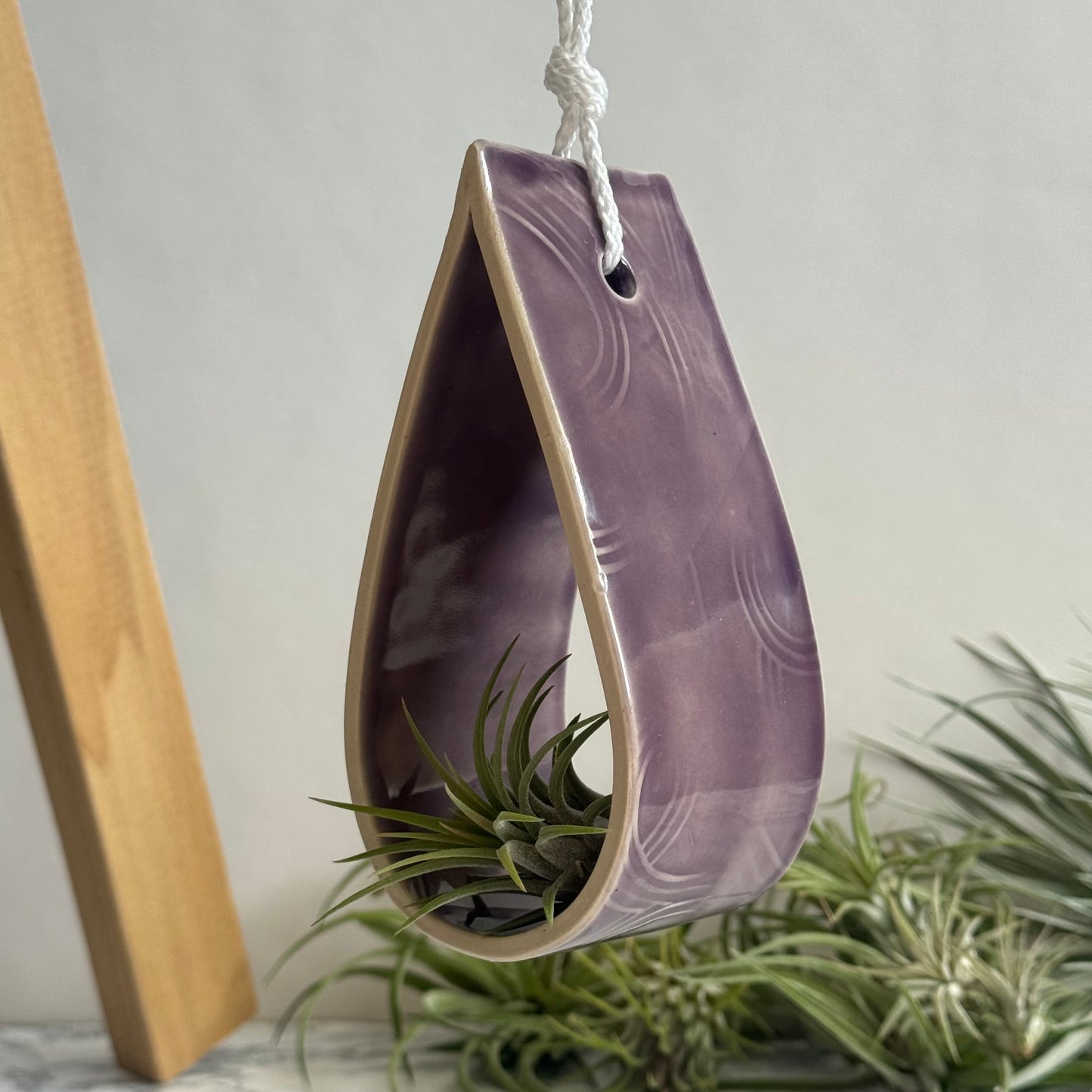 Hanging Air Plant Holder ~ Large