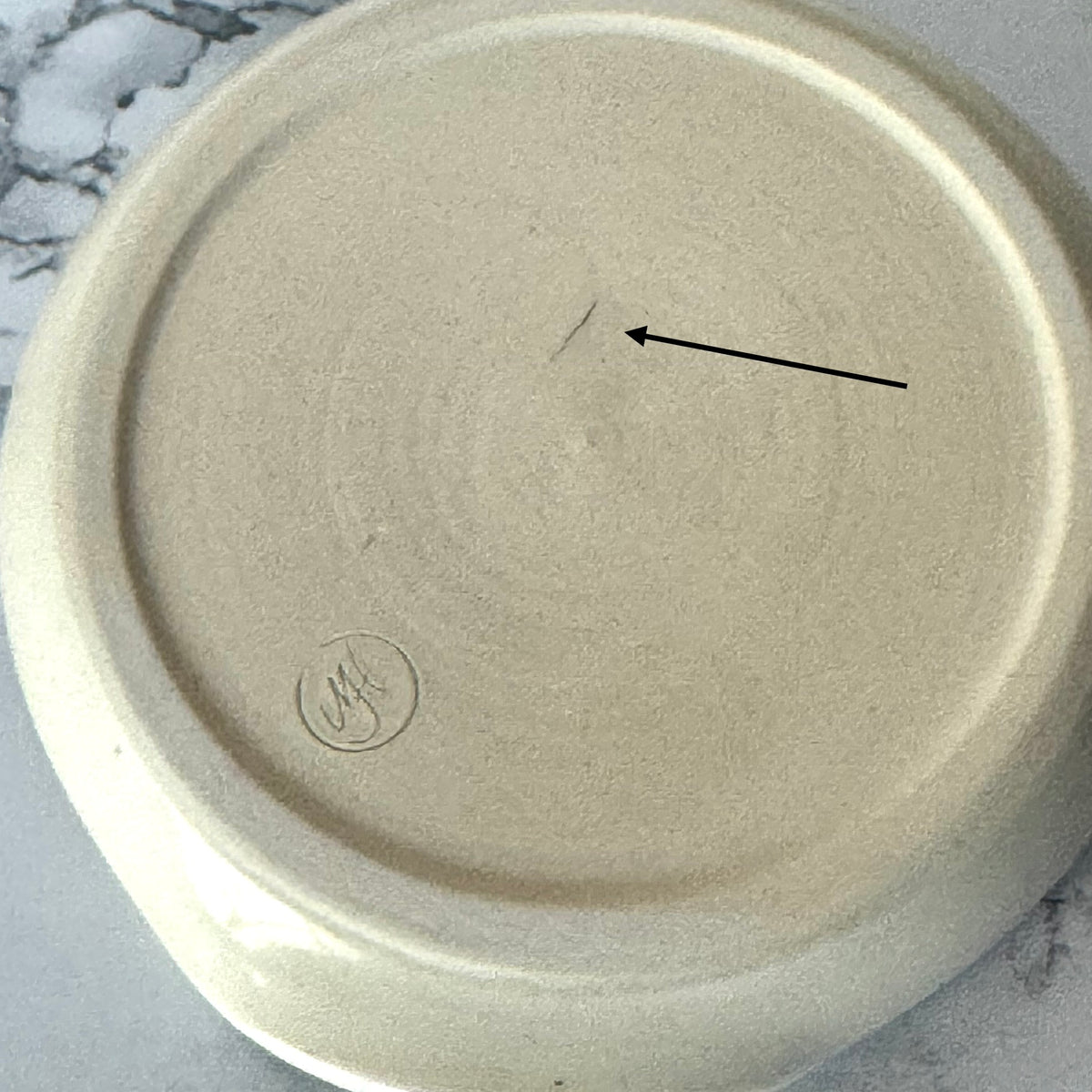 Seconds Sale ~ Cactus Spoonrest