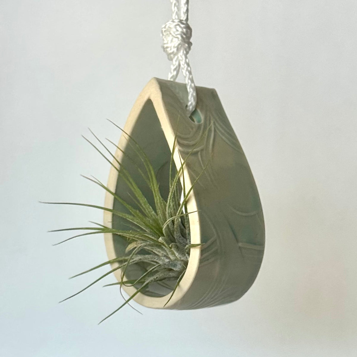 Seconds Sale ~ Tiny Hanging Planter, Mint