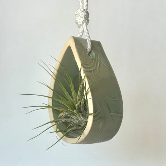 Seconds Sale ~ Tiny Hanging Planter, Mint