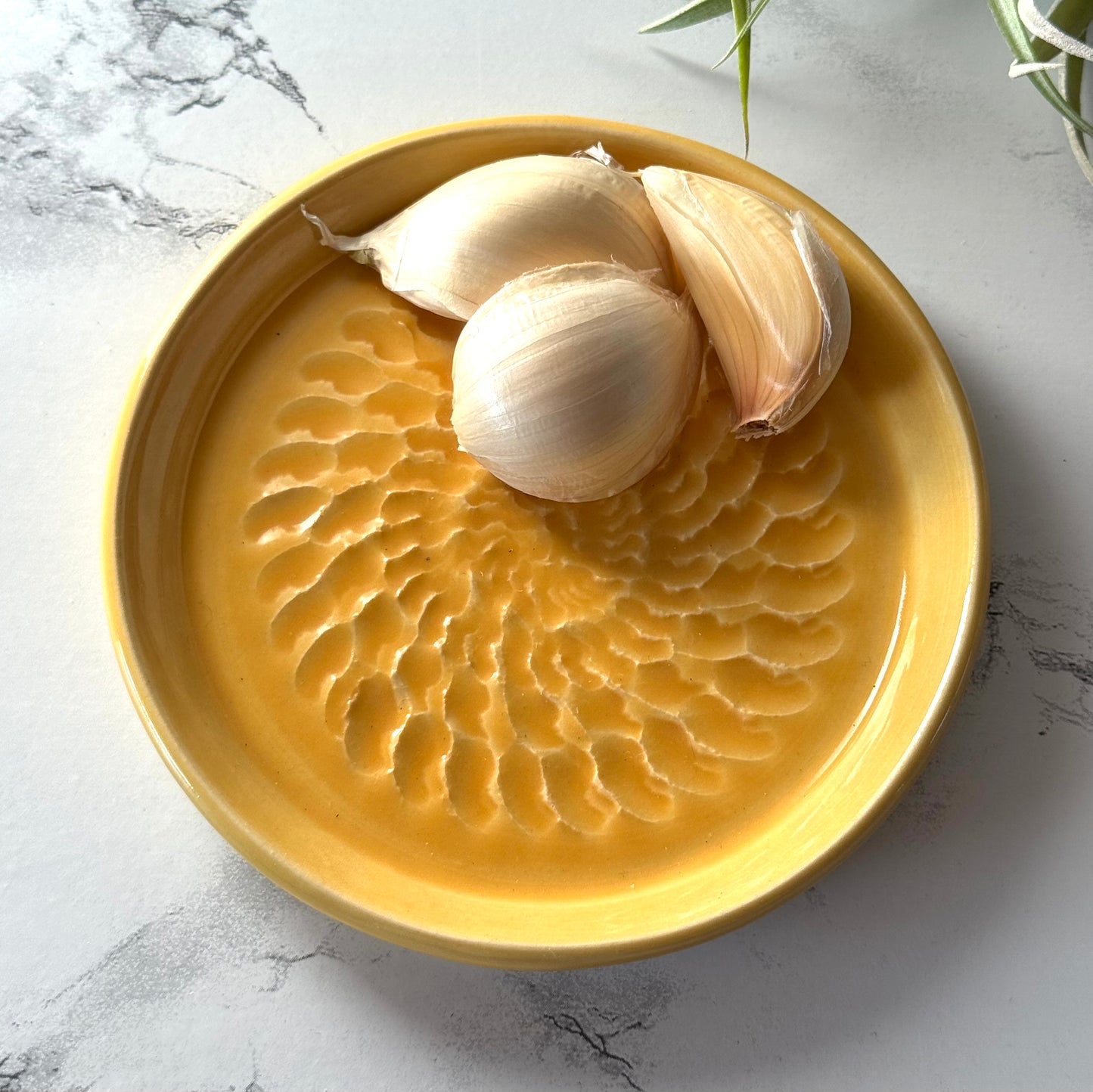 Garlic Dish