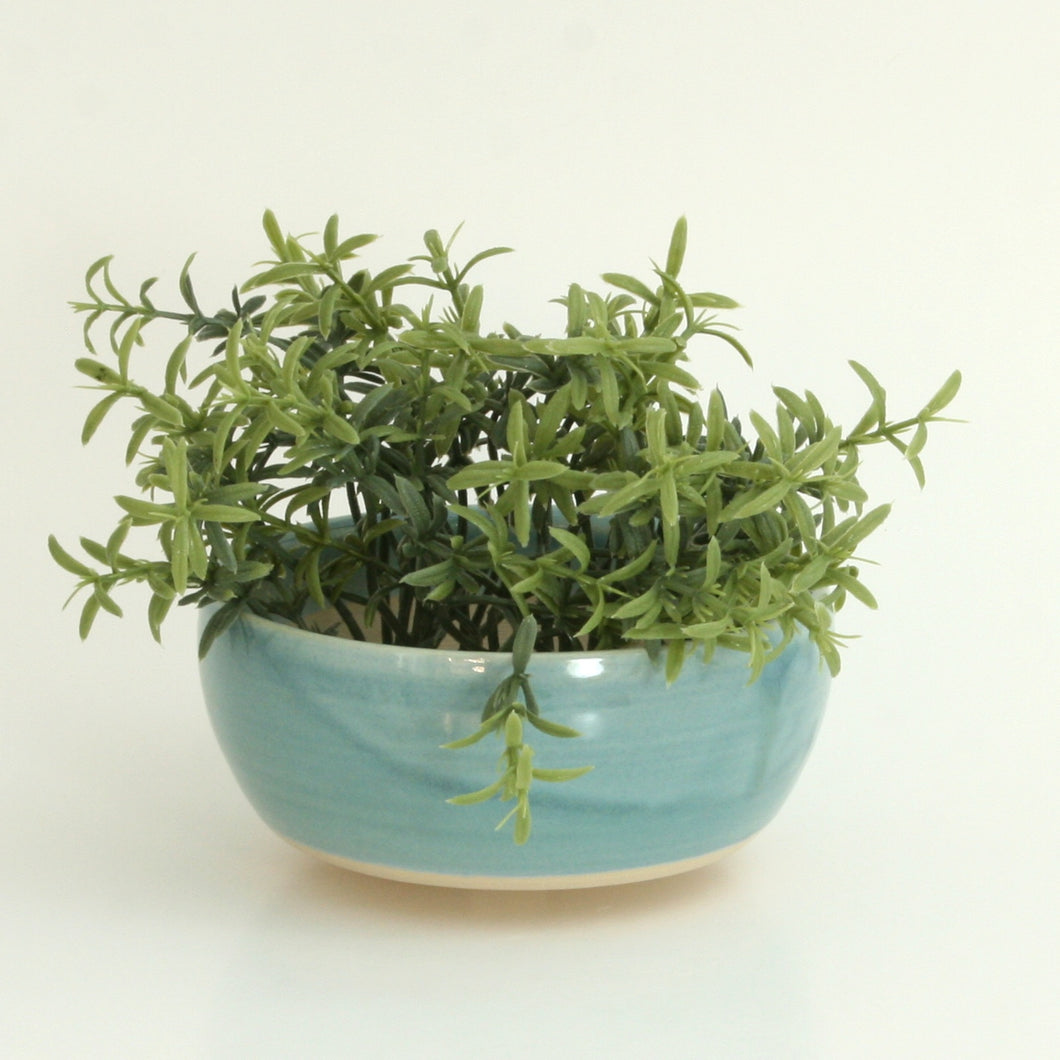 Shallow Succulent Planter, Turquoise