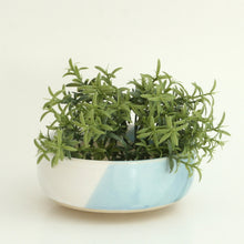 Load image into Gallery viewer, Shallow Succulent Planter, Turquoise &amp; White
